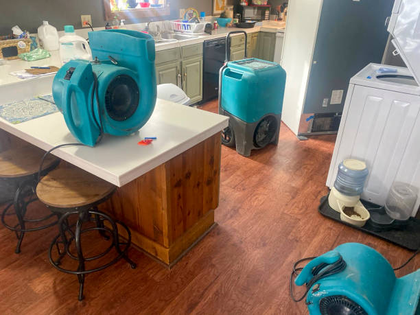 Best Local water damage restoration  in Lus Valley Marinwood, CA