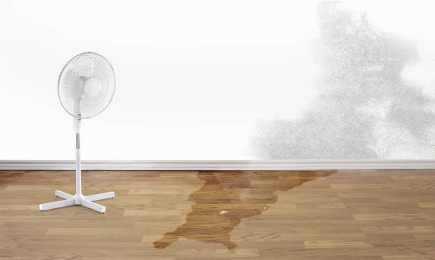 Best Water damage contractors near me  in Lus Valley Marinwood, CA