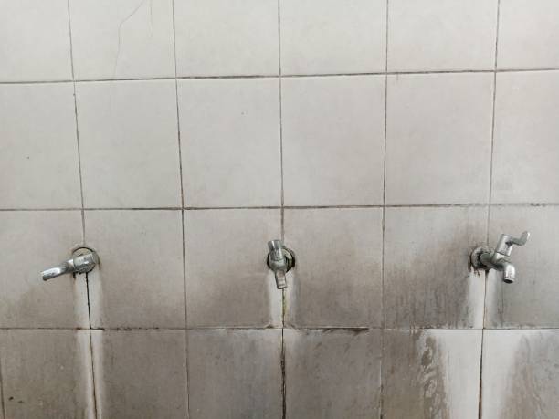 Best Ceiling water damage repair  in Lus Valley Marinwood, CA